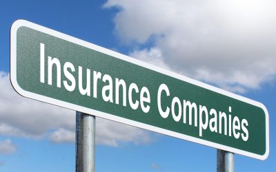 MUTUAL VS STOCKHOLDER INSURANCE COMPANIES