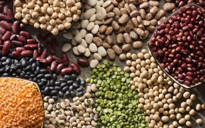 THE HIDDEN GEMS OF LOW-CARB BEANS